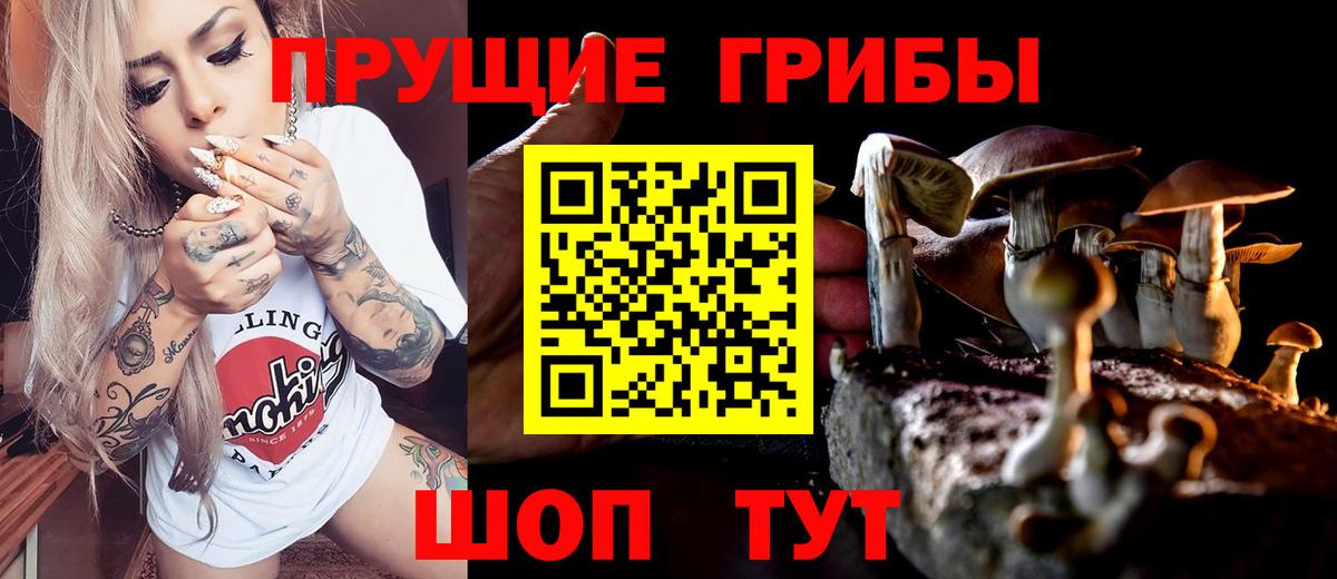 Галлюциногенные грибы GOLDEN TEACHER  Вход с VPN  Псилоцибиновые грибы Psilocybe  Краснотурьинск 